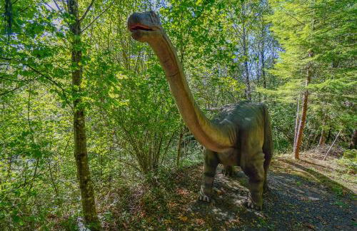 Spring Break Promos - LifeSize Dinos, 4BR, HotTub - Foto 6