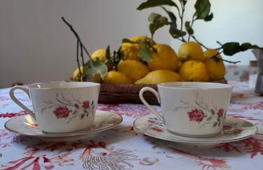 A cas e Rosa - Foto 9