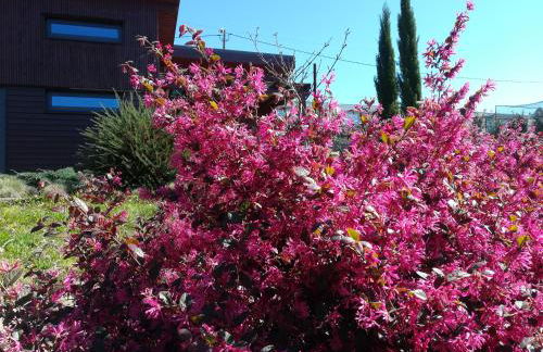 CAMPO DE SOBARBO - Guest House rural - Photo 39