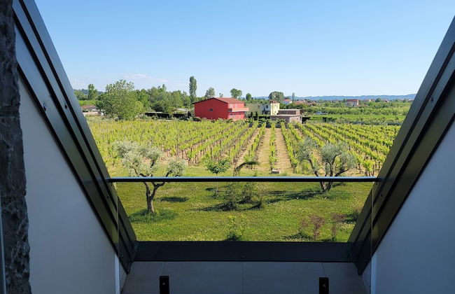 Lahuta e Vjetër Agroturizëm - Foto 55