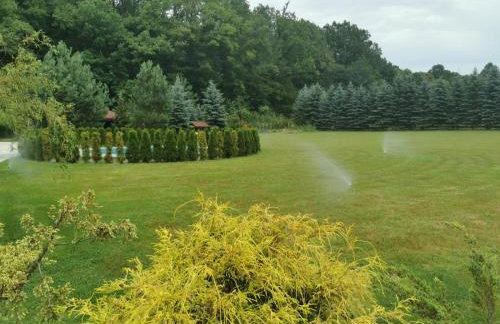 Dom na wsi, Agroturystyka BlueBeaver - Foto 26