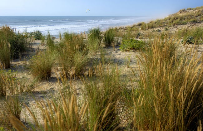 Les Oyats Sylvadoures - Foto 28