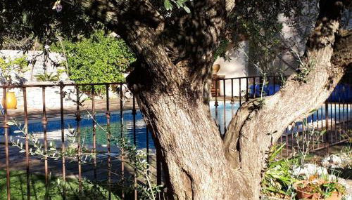 La Cartagène - charmant appartement entouré de nature - Photo 1