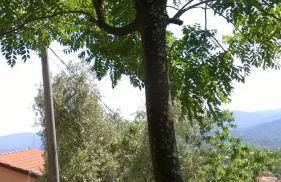 Ca' Rosmunda - Photo 1