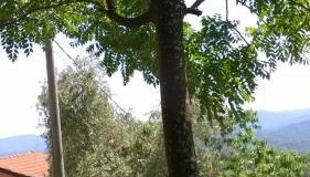 Ca' Rosmunda - Foto 1