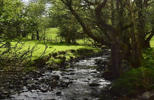 Quirky, Luxury Hideaway - Photo 13