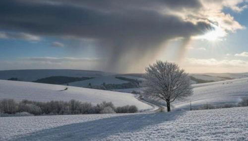 Ferienwohnung Turmfalke - Foto 2