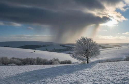 Ferienwohnung Turmfalke - Foto 2