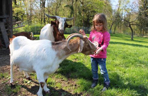 Döllelhof Erding - Foto 31