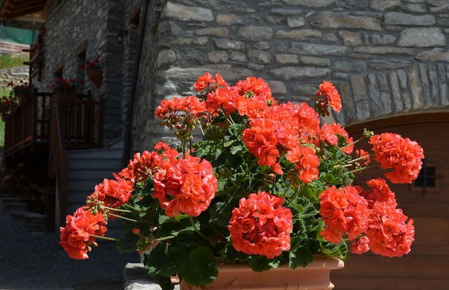 Appartamento Con Giardino - Foto 13