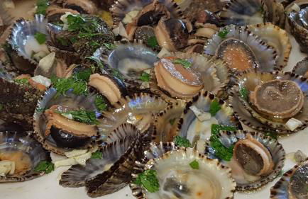 Laurus - Charming House - Foto 30