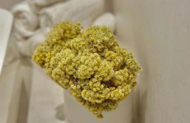 La Casa D'Ange Bergerie 5 étoiles de Luxe Piscine chauffée - Foto 51