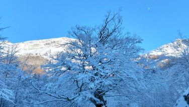 Eco Home - Val di Luce - Foto 3