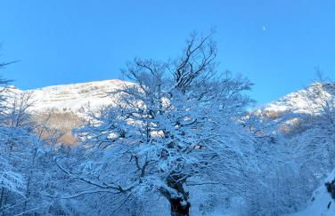 Eco Home - Val di Luce - Foto 3