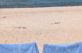 PINEA BALTIC - Double Sea View - Apartment z widokiem na morze - Photo 45