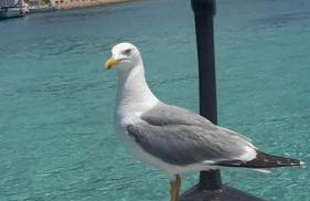 Appartamento BlueWater - Foto 42