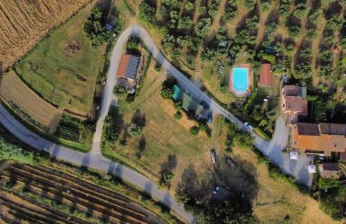 La Piaggiola degli Olivi - Foto 38