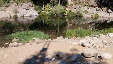 Picaza del Jerte - Foto 2