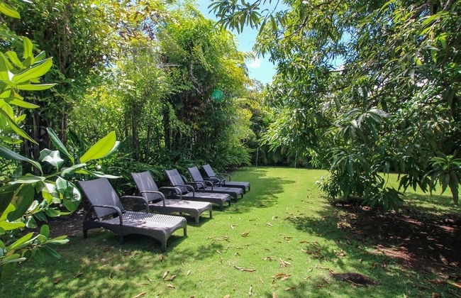 Palm Grove by Bluescape - Foto 38