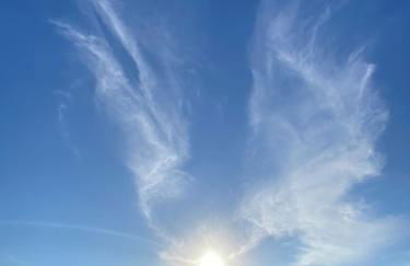 Villa Mi Marino - Foto 52