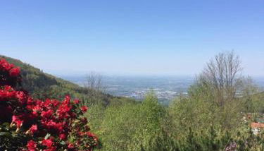 View from the Rock - Foto 1