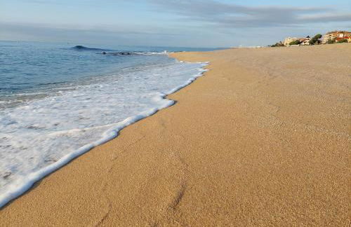 Oasis cerca de Barcelona - Photo 31