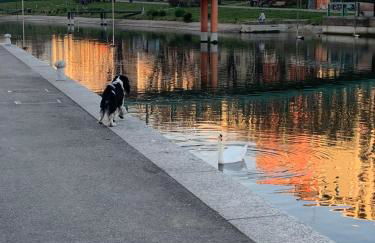 Appartamento con terrazza in zona Navigli - Tortona - Foto 33