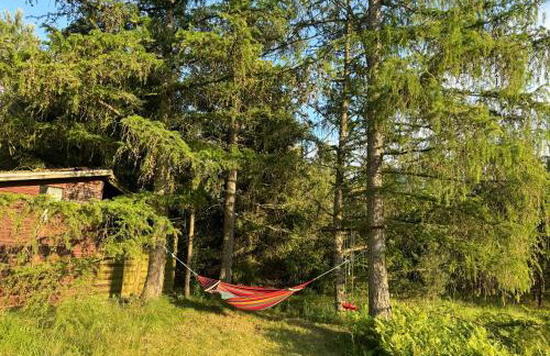 Łąkowy Zakątek Rybakowo - Foto 30