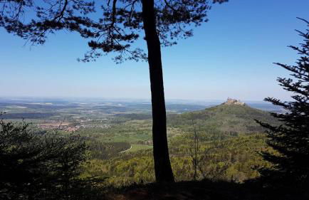 Schillerstüble - Foto 17