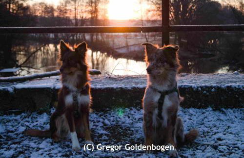 Spreebogenhof - Foto 17