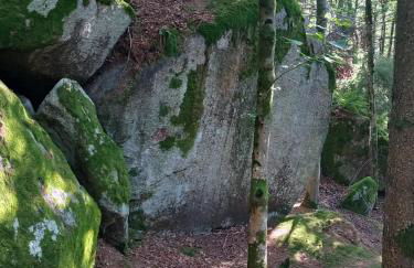 Bayerwaldtiny - Foto 24