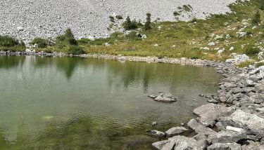 Casa di Giò, green mountains, trekking and relax - Foto 5