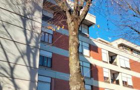 APPARTAMENTO LA SPIAGGETTA - Foto 47