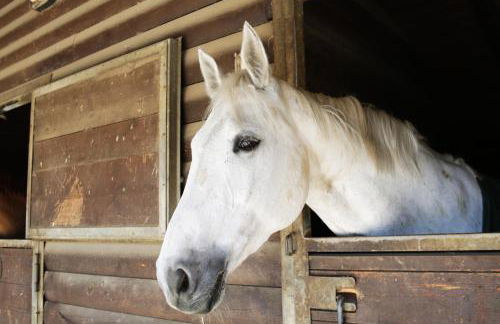 Due Ponti Village - Foto 43