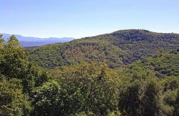 Casa Rural Buenavista - Foto 18