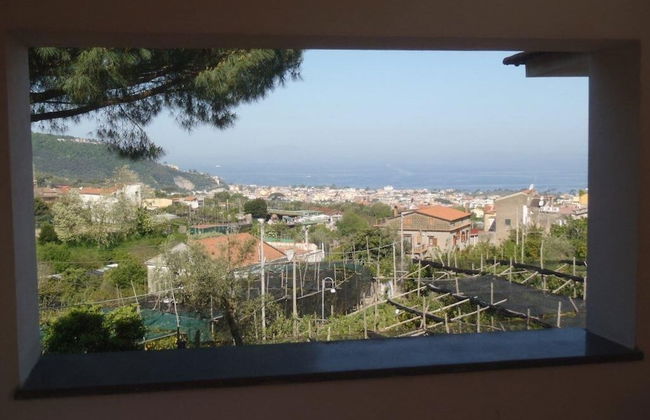 Old Farmhouse Set In A Citrus Grove - Photo 10