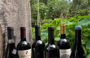 Agriturismo Casale nel Parco dei Monti Sibillini - Foto 45