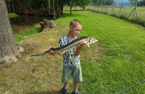 Agroturystyka nad potokiem - Foto 48