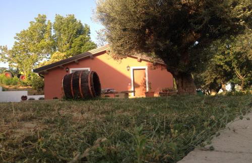 Agriturismo Collamato - Foto 21