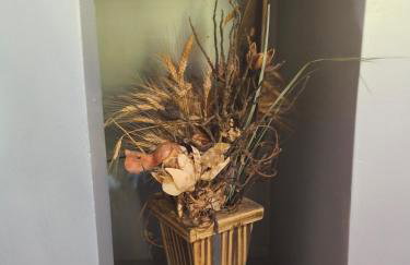 Casa Campo - Foto 15