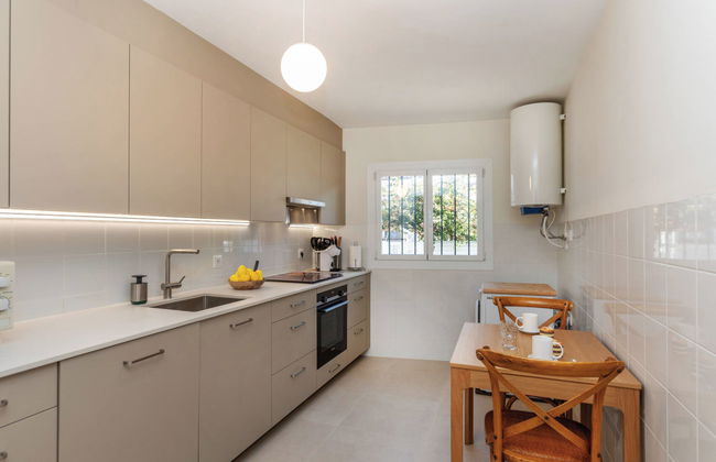 Jorge Comin - Foto 4