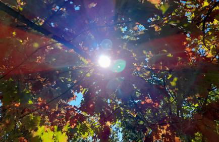 Quinta do Outono - Foto 16