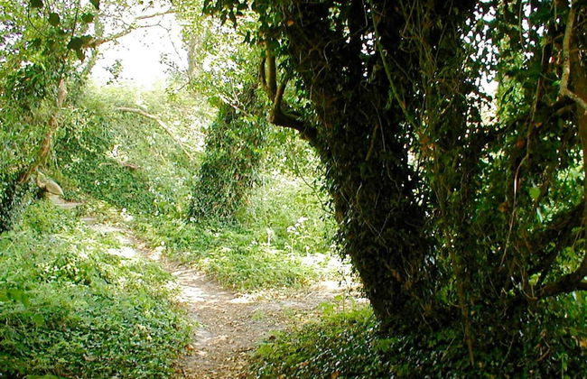 Simplistic Holiday Home in Blokhus With Sea Nearby - Foto 6