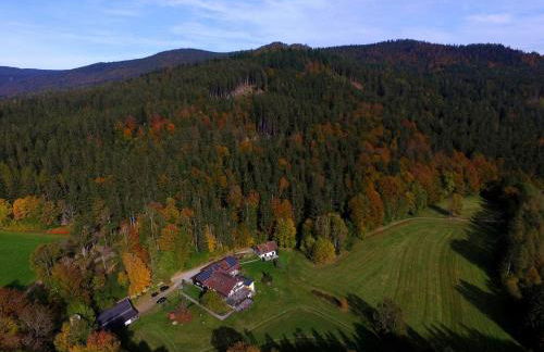 Altes Forsthaus Bodenmais - Foto 25