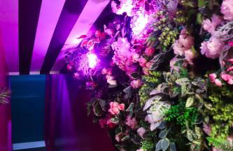 Manchester's ONLY private party suite for 12 with Makeup Room - Photo 31