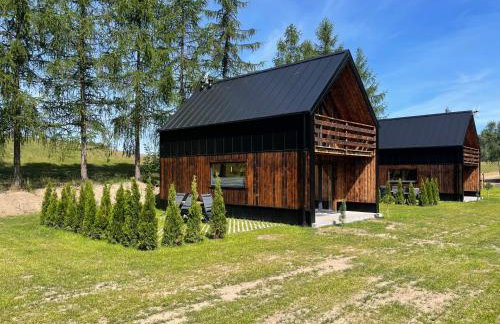 Przystanek Kistówko komfortowe domki z jacuzzi, staw wędkarski, kominek, las, przestrzeń - Foto 51