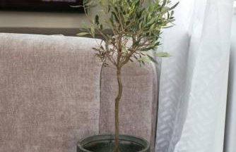 Holiday Home Sofia - quiet village&quick highway close to Biograd na Moru and Zadar - Photo 15