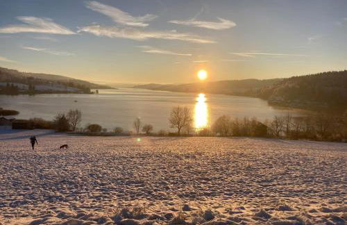 La Gentiane bleue, vue lac Saint Point - Foto 33