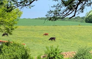 Gîte Mac Arthur - Foto 10