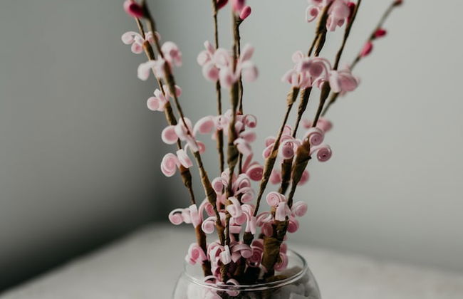 Camino Real Apartments - Foto 31